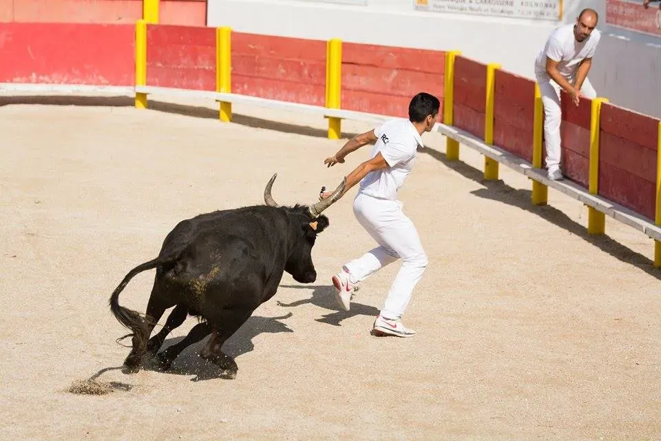 corida